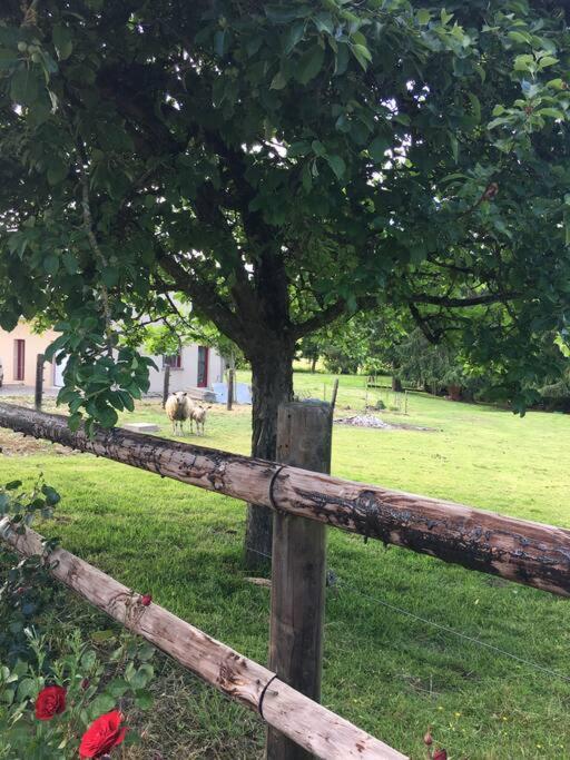 Les Cresnays Gite De La Poupardiere, Maison De Campagne En Bordure De Riviere - 2 Nuits Minimumヴィラ エクステリア 写真